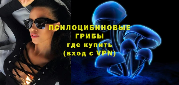 spice Верхний Тагил