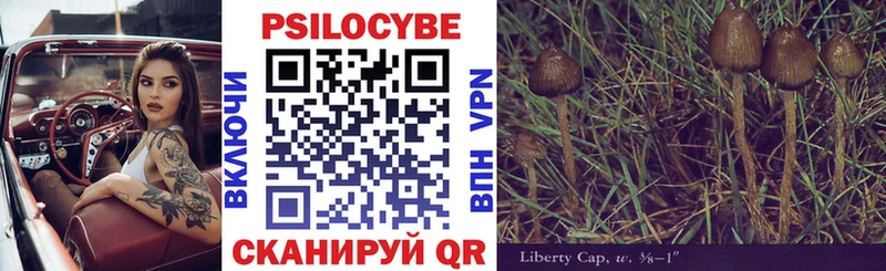 Купить закладки  Гдов  Псилоцибиновые грибы Cubensis 