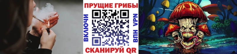 Псилоцибиновые грибы мицелий Гдов